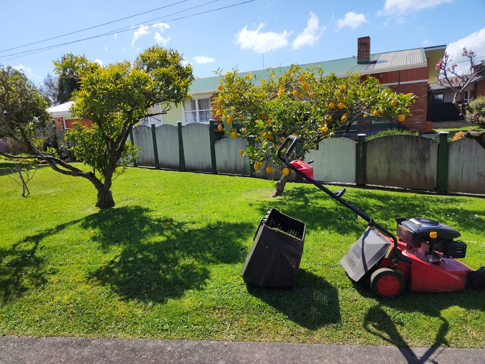 Push mower beside a fruit tree in a well-kept yard