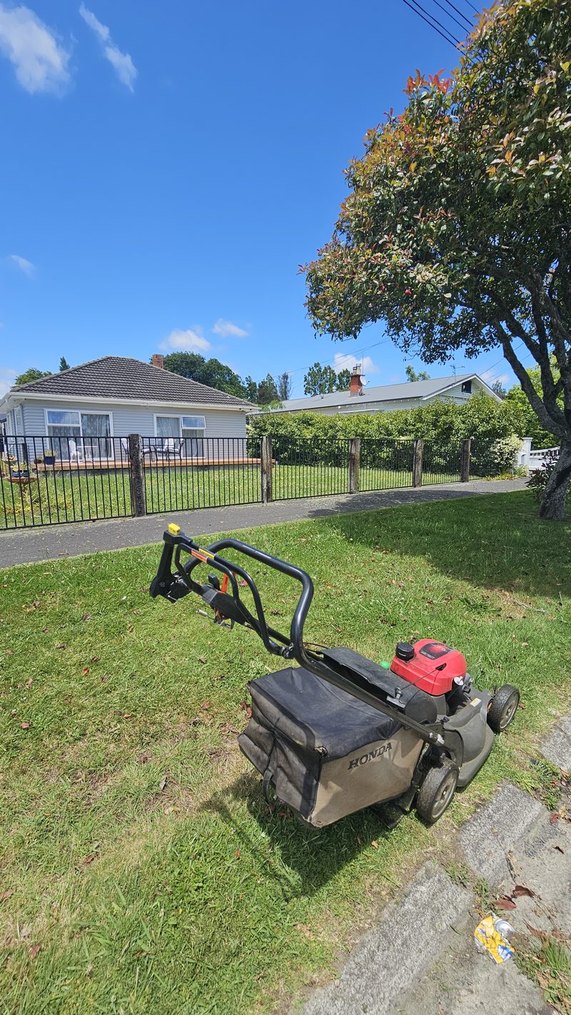 Mower on a freshly striped lawn beside a tree-lined fence