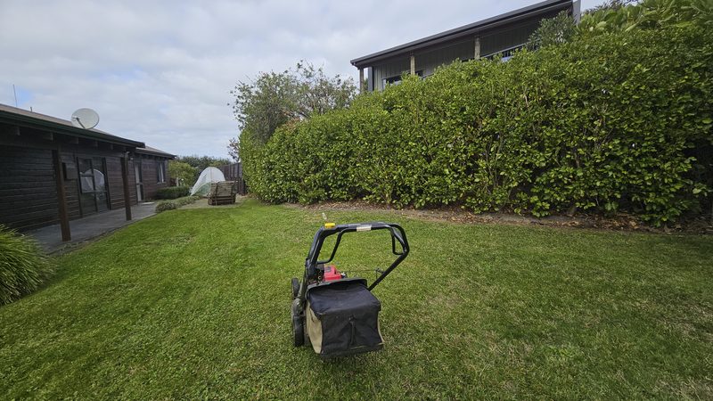Mower on a backyard lawn beside a tall trimmed hedge