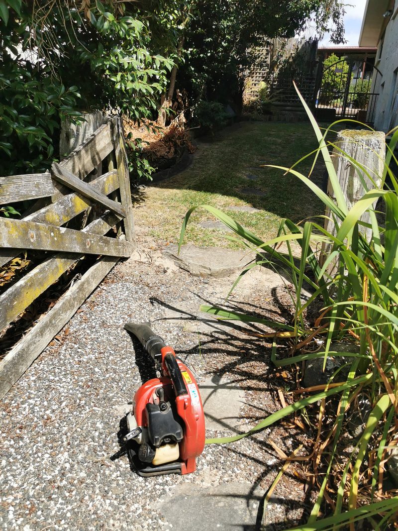 Tidy backyard lawn with mower and trimmed hedge