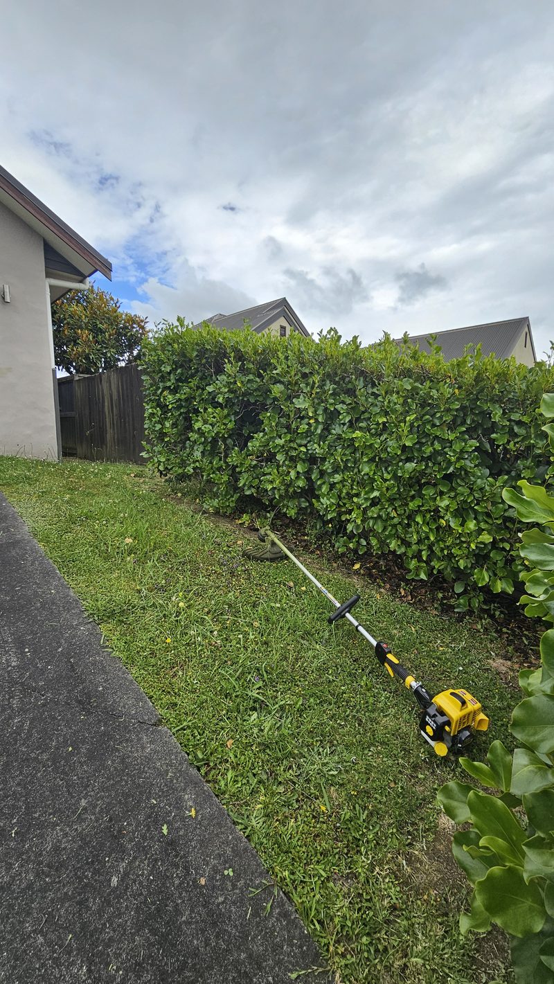Mower on a clean lawn beside a wooden fence