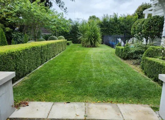 Well-trimmed hedges lining both sides of a lawn