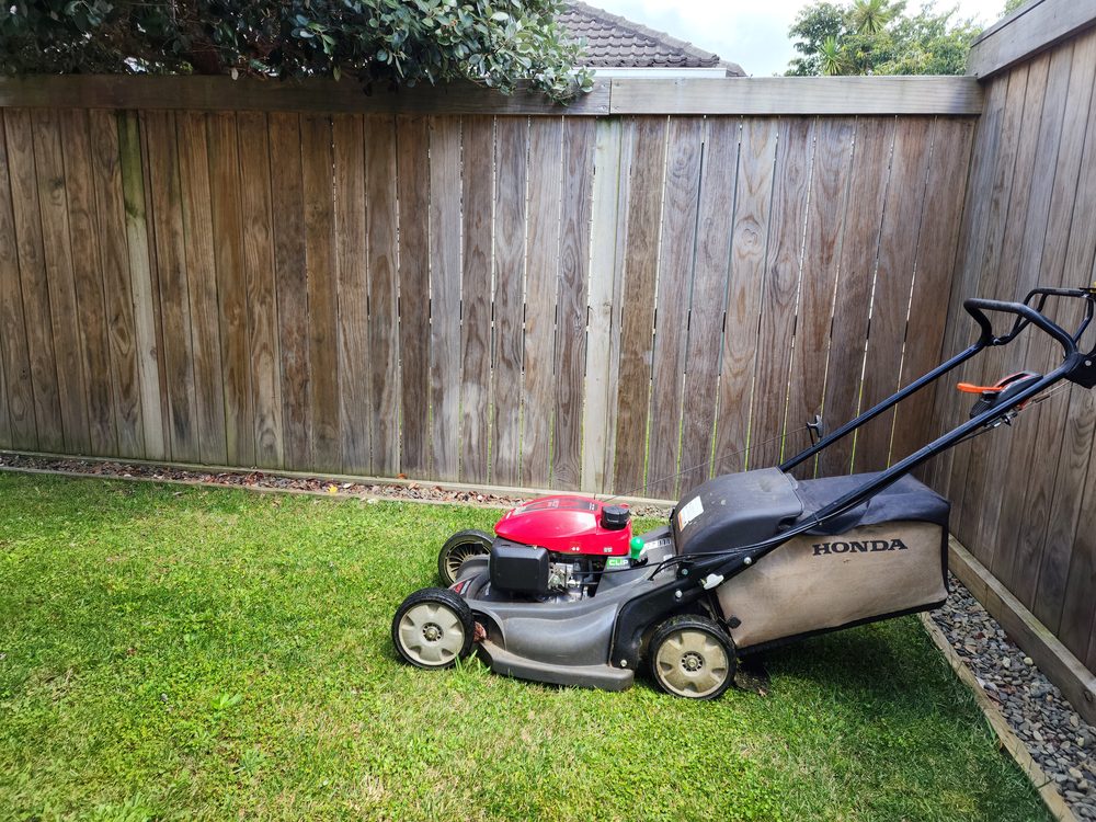 Push mower on a freshly mowed lawn beside a garden bed